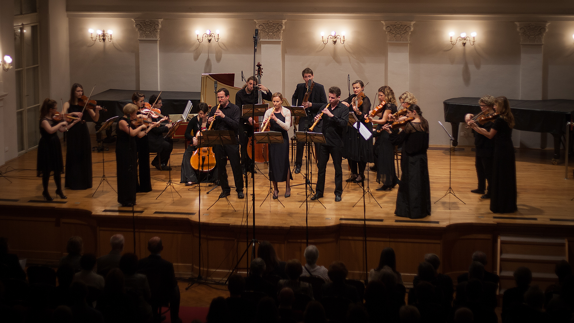 IMG_2032 LR Hrba 1920pix 10.01.2016.Export